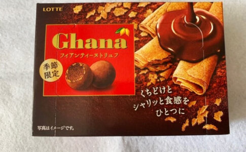 Lotte フィアンティーヌトリュフ チョコレートの世界